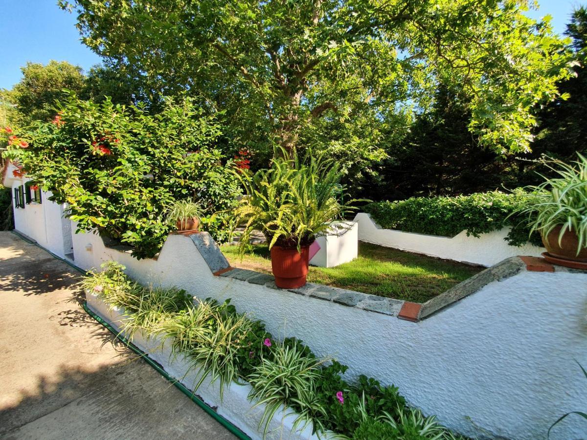 Dionisos Studios And Apts Skiathos 쿠쿠나리에스 외부 사진