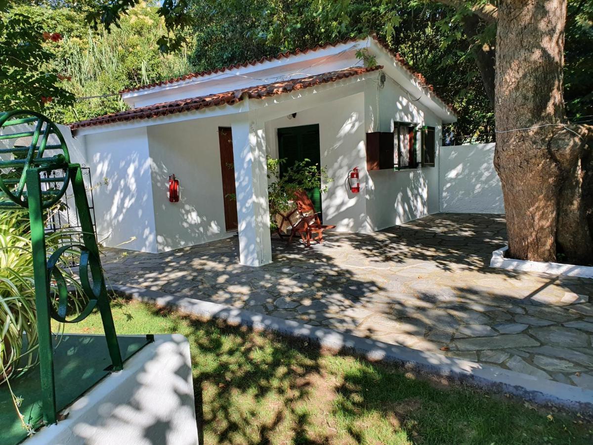 Dionisos Studios And Apts Skiathos 쿠쿠나리에스 외부 사진
